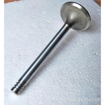 Engine Valves 226B